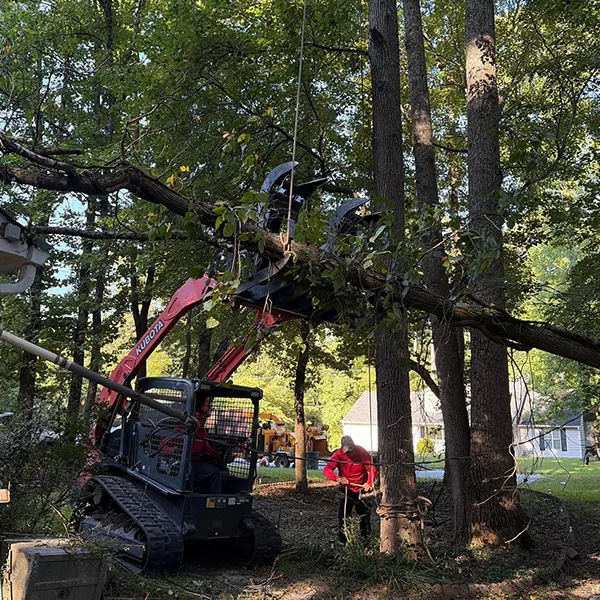 Compact loader used for clearing and grading on an outdoor property