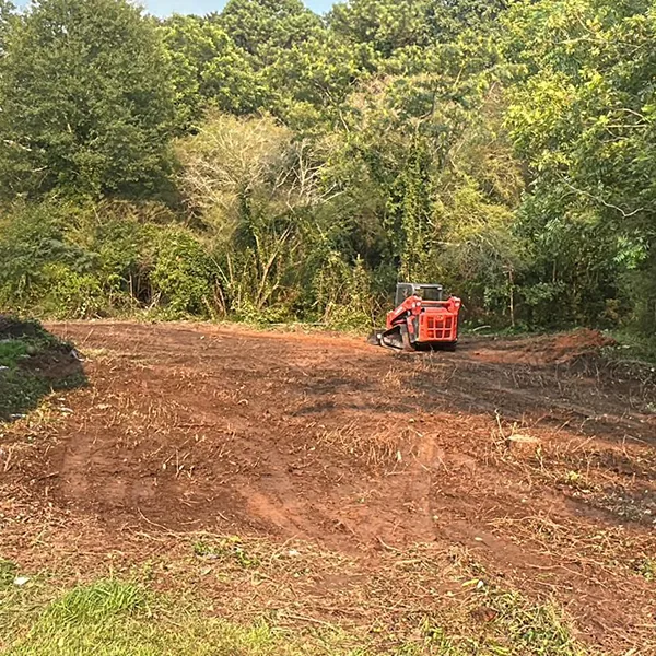 Lot being cleared of brush, branches, and debris