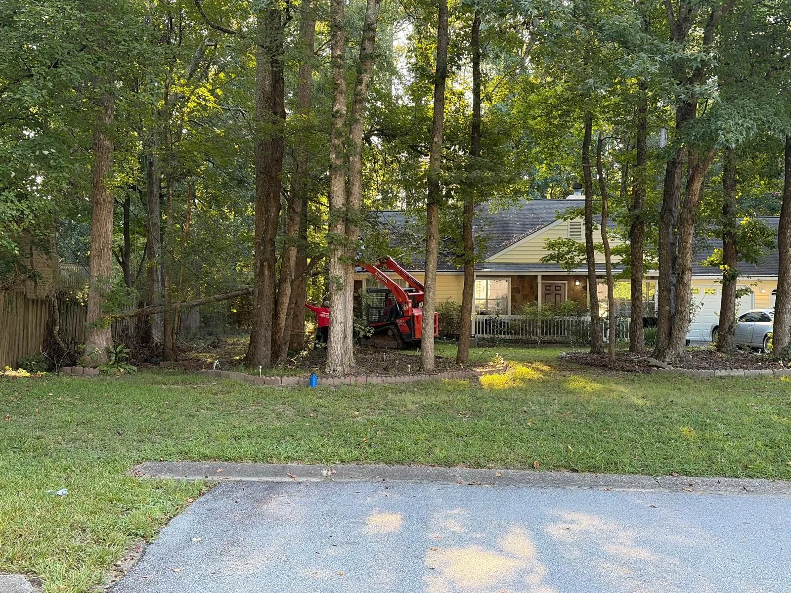 Tree and outdoor property work completed by the 7 Brothers crew