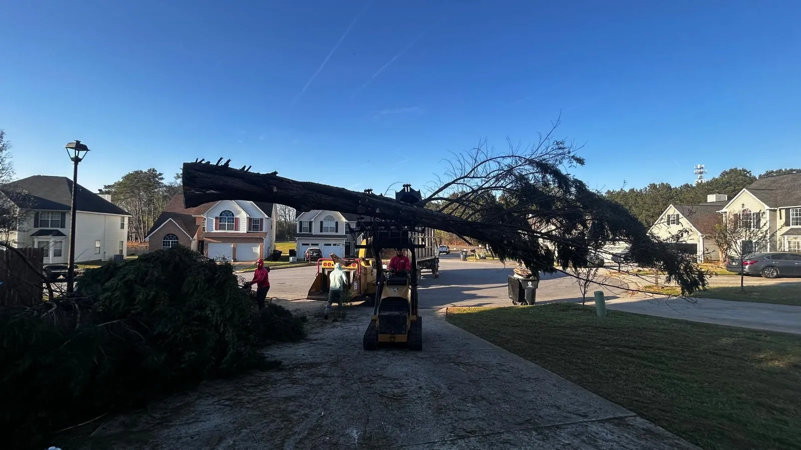 Tree and outdoor property work completed by the 7 Brothers crew