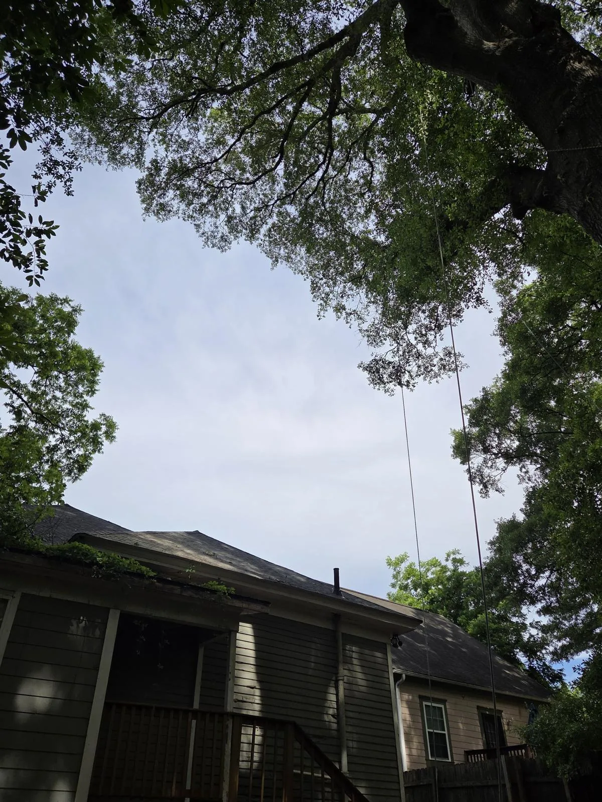 Tree and outdoor property work completed by the 7 Brothers crew