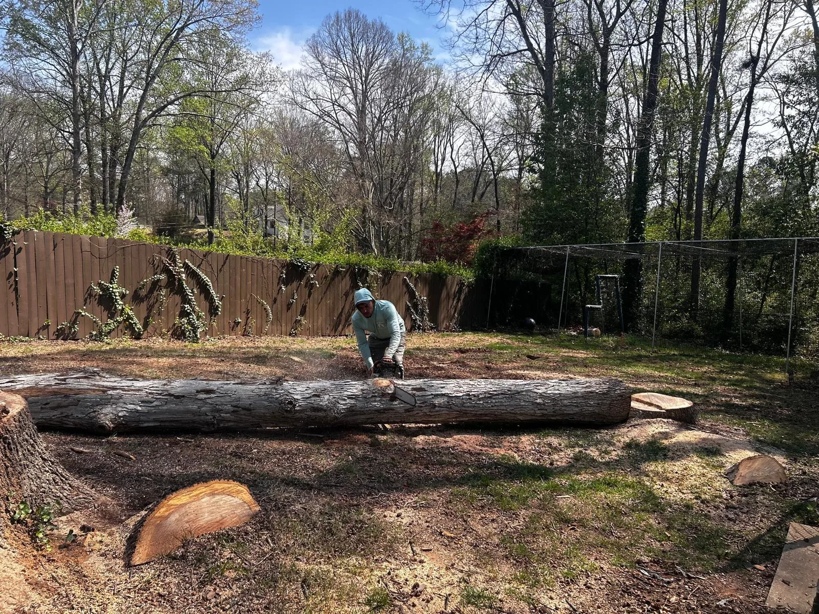 Tree and outdoor property work completed by the 7 Brothers crew