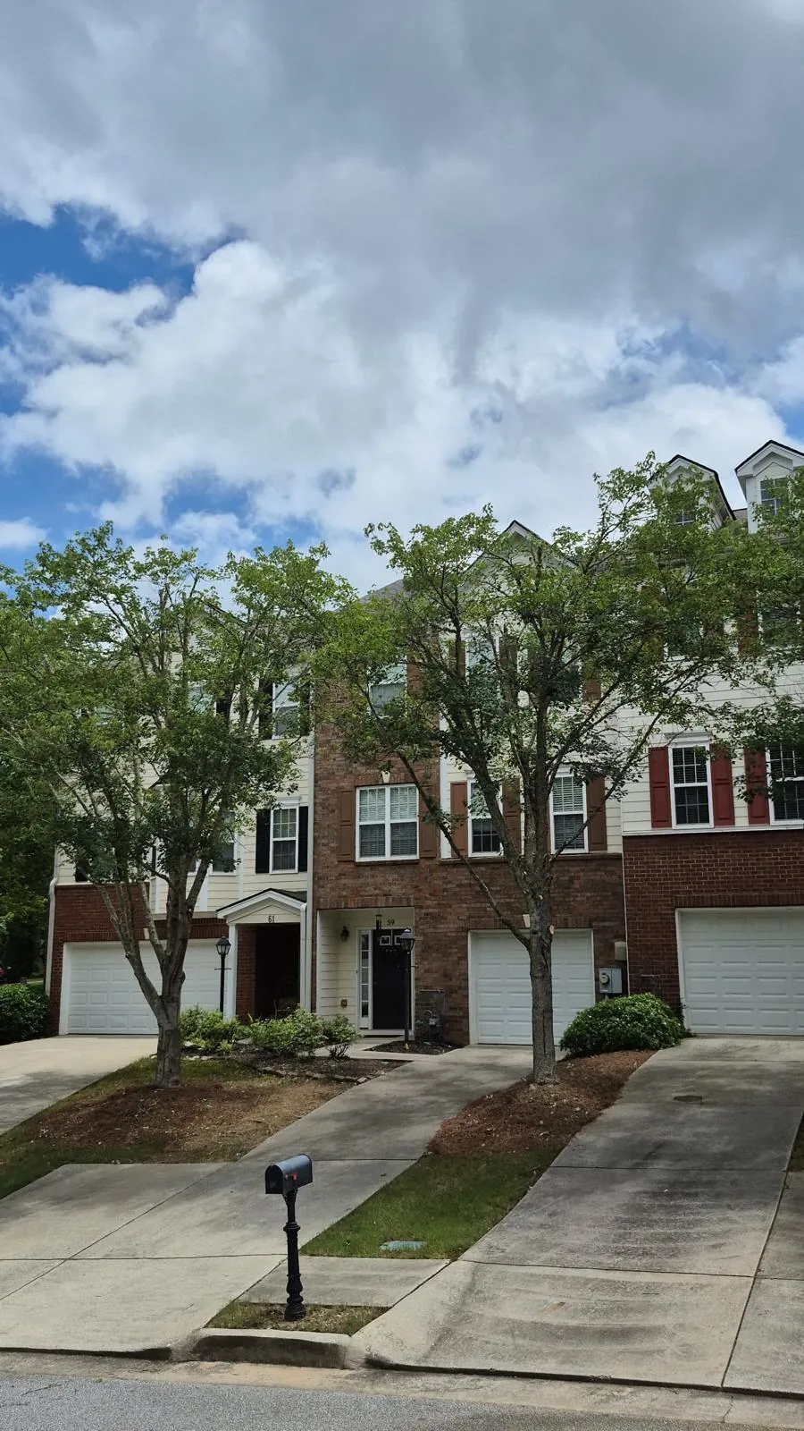 Tree and outdoor property work completed by the 7 Brothers crew
