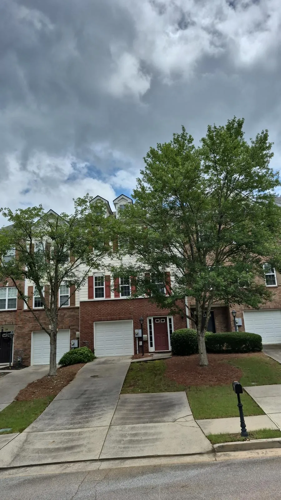 Tree and outdoor property work completed by the 7 Brothers crew