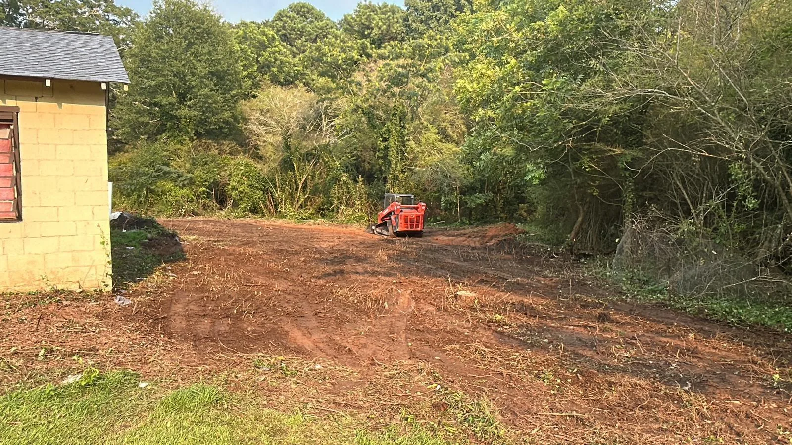 Tree and outdoor property work completed by the 7 Brothers crew