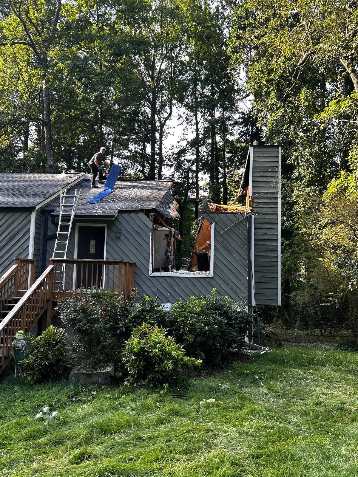 Tree and outdoor property work completed by the 7 Brothers crew