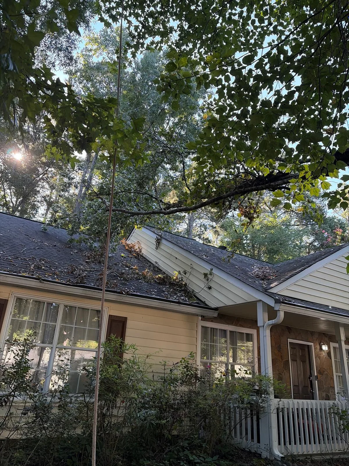 Tree and outdoor property work completed by the 7 Brothers crew