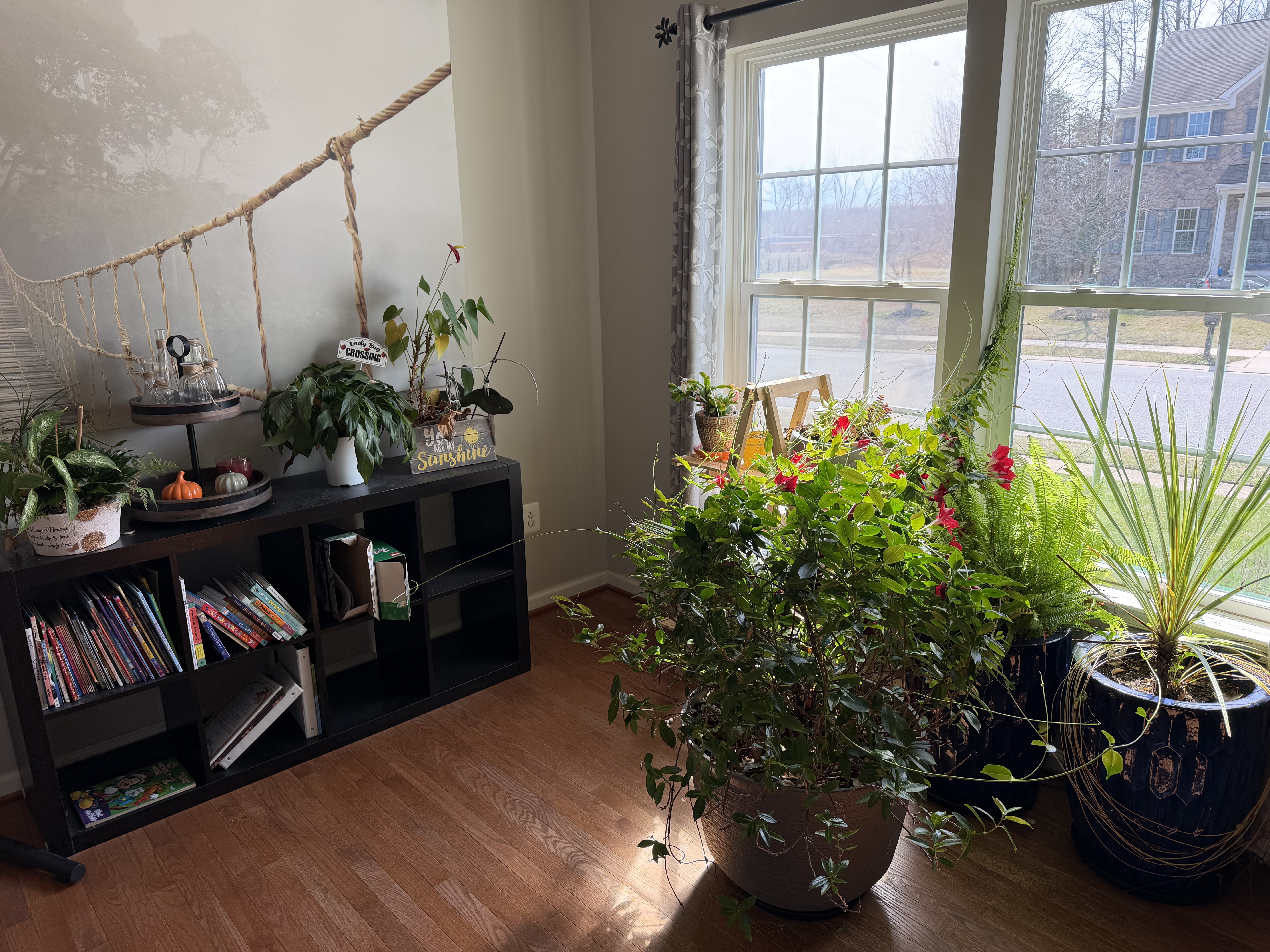 Front Room Grand Parents House Front Room Grand Parents House