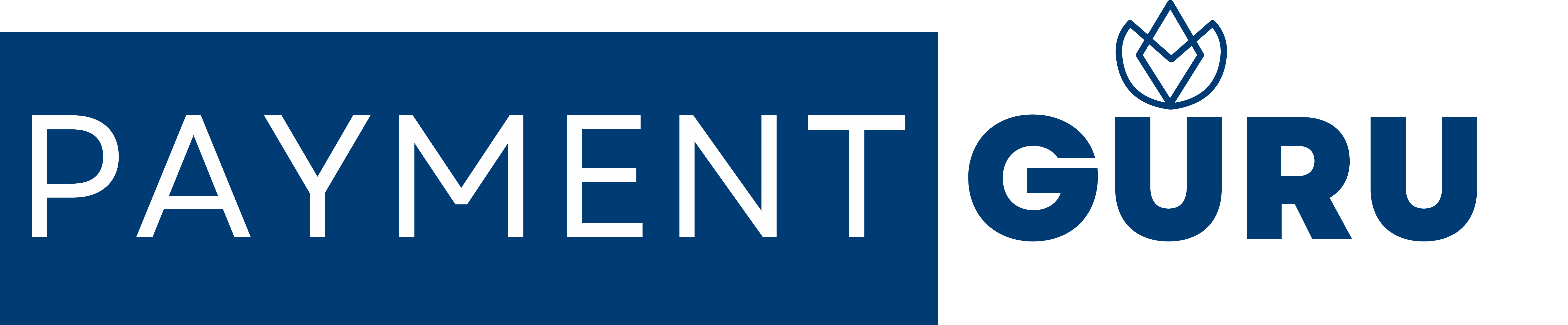 Payment Guru