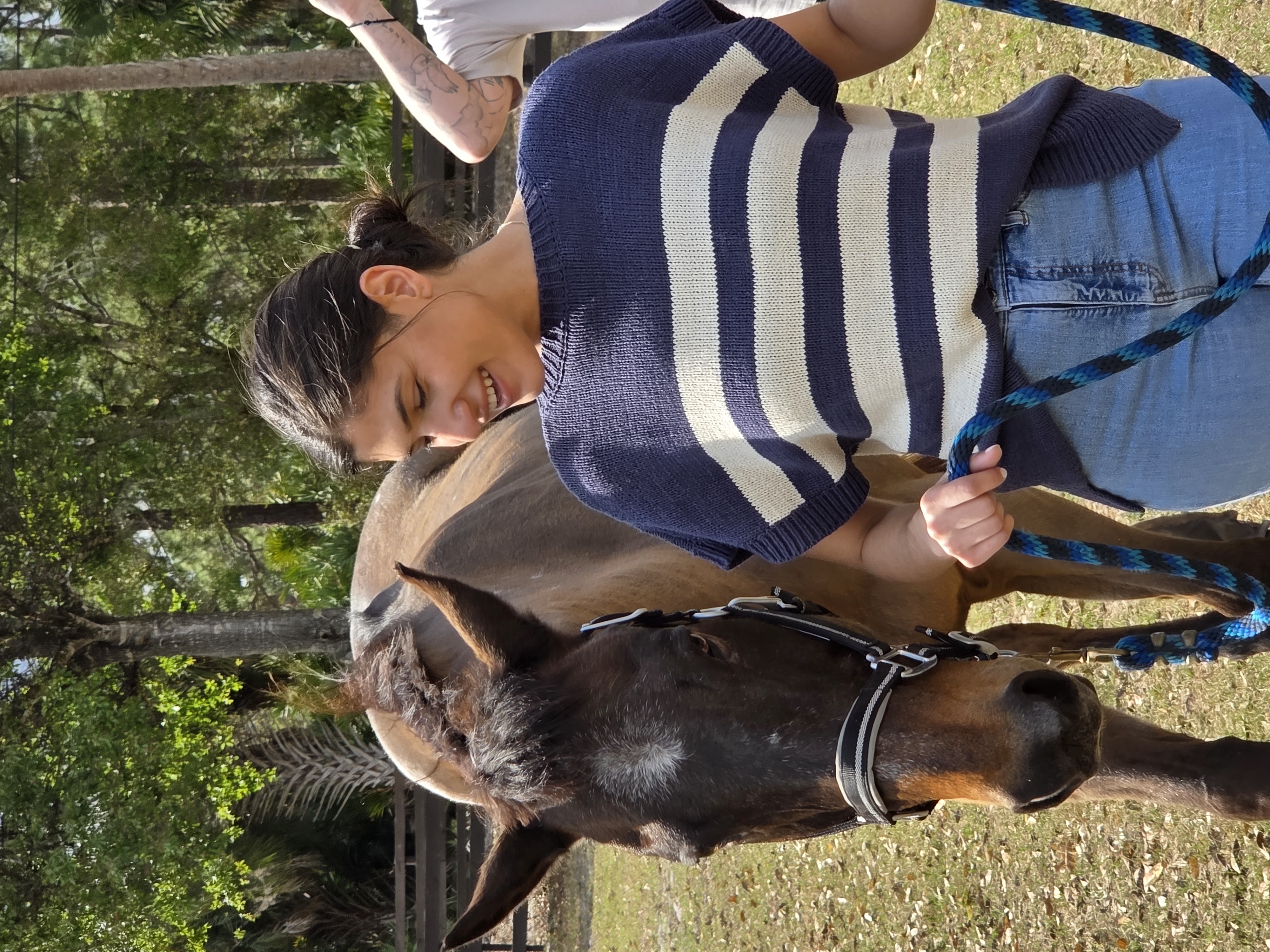 Participants working alongside horses during a session