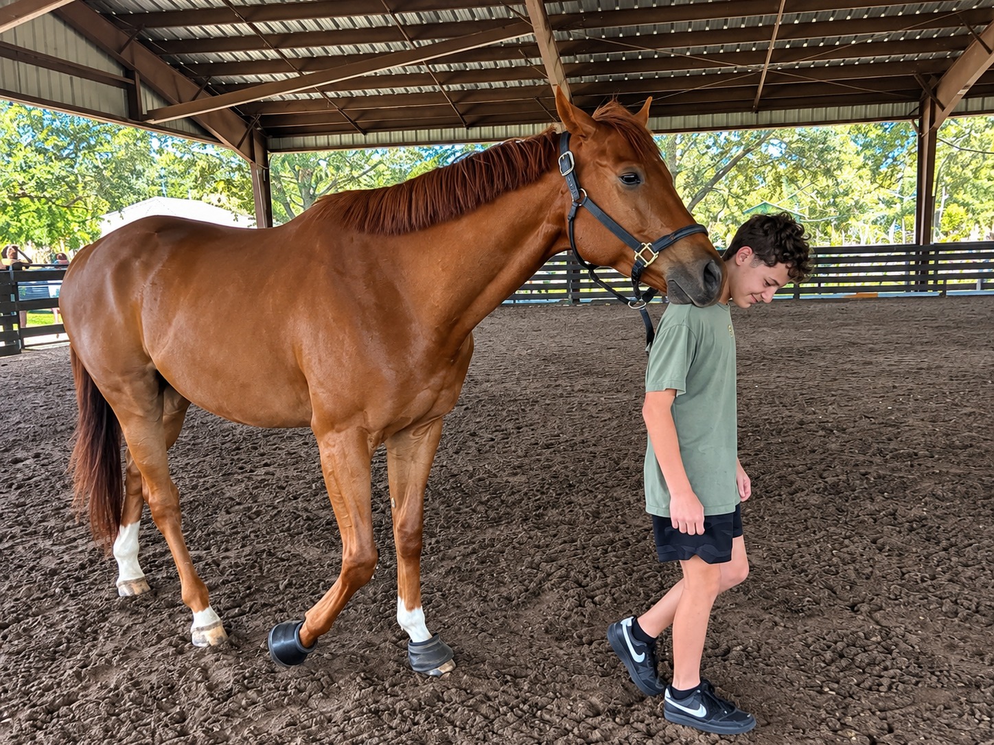 A moment from life at the stables