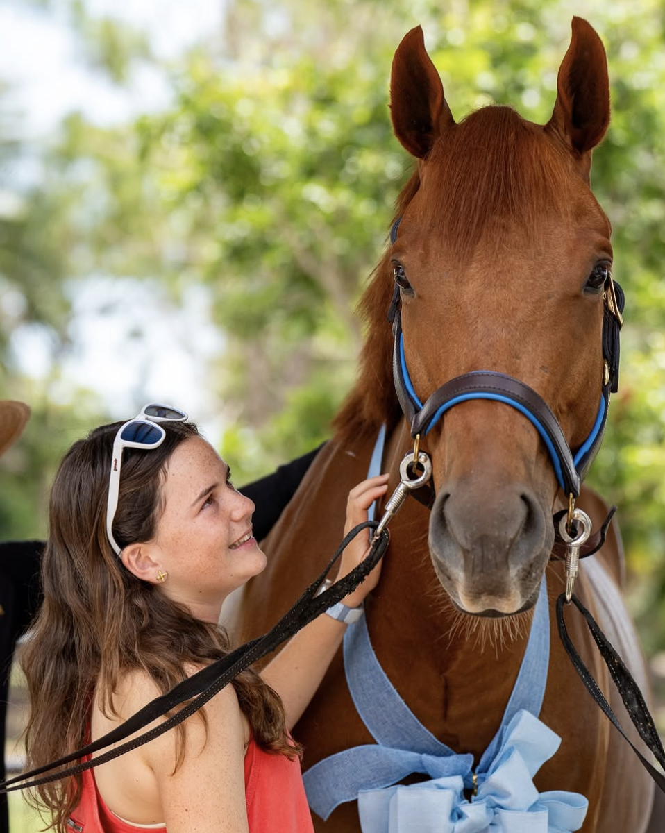 Monkey, a Chestnut Thoroughbred