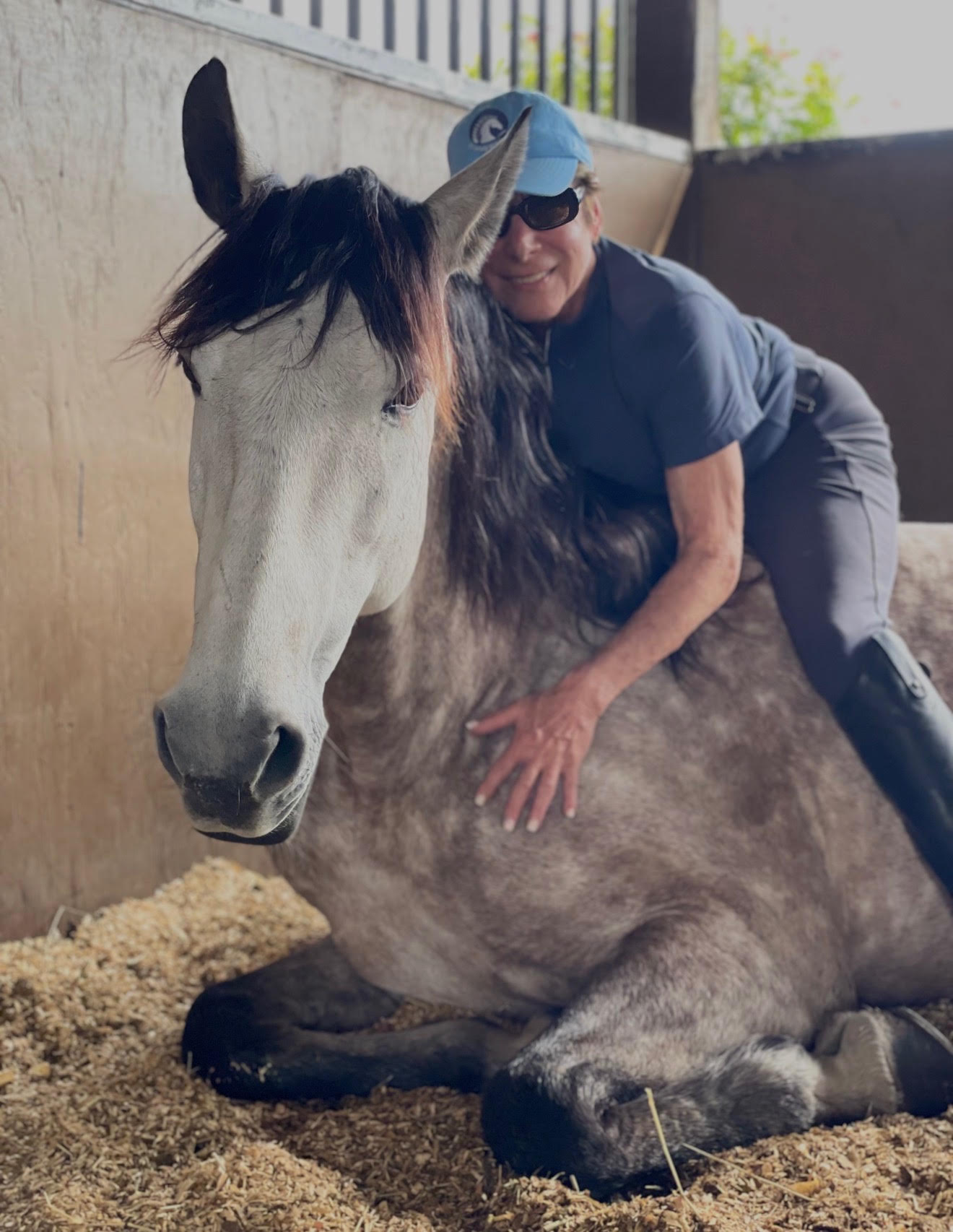 Duncan, a Grey Andalusian