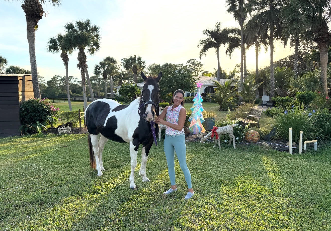 Misty, a Paint American Paint Horse