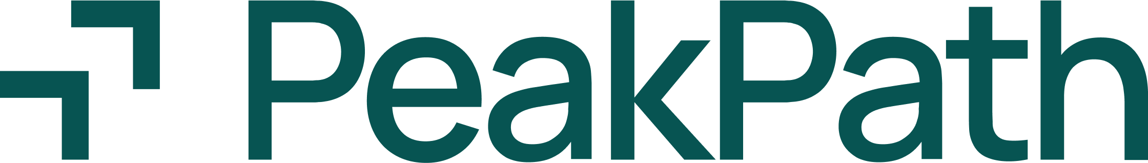 PeakPath logo