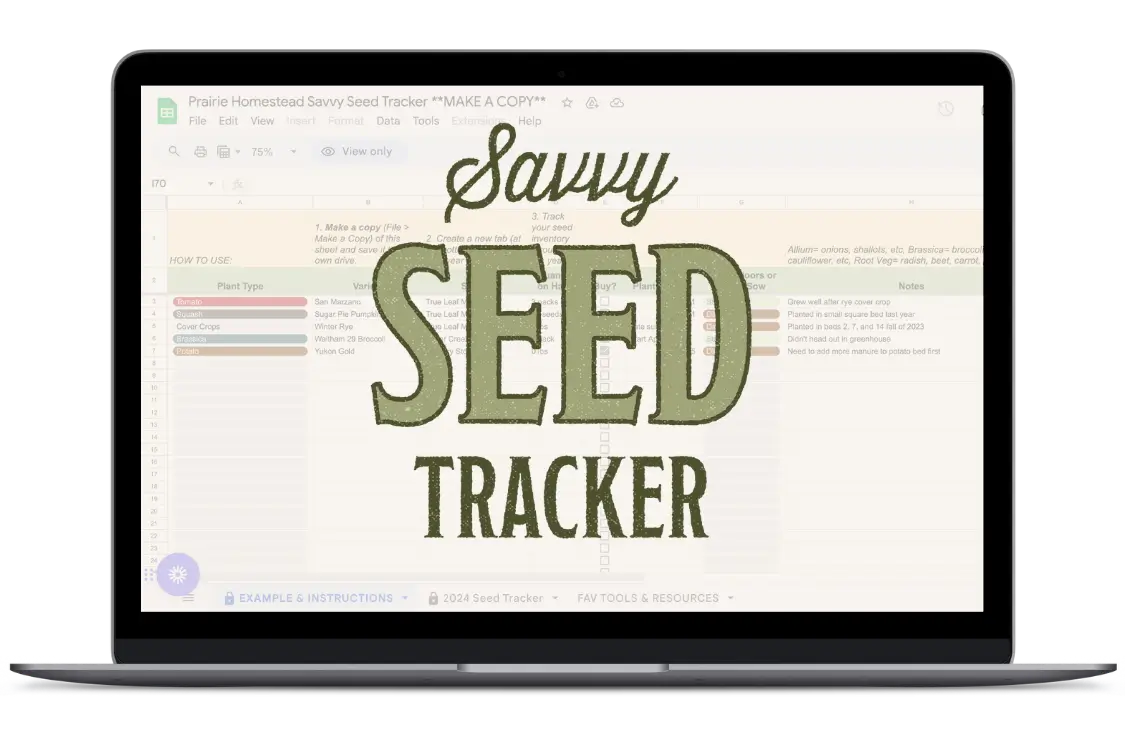 Savvy Seed Schedule