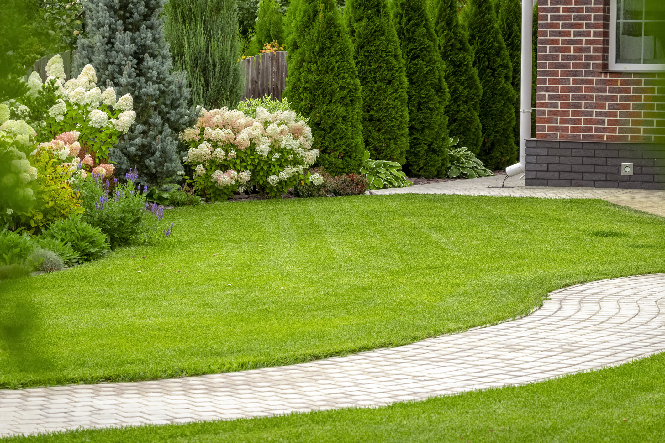 lawn fertilising services, lawn care services, Lawn fertilizing Jordan Minnesota, 