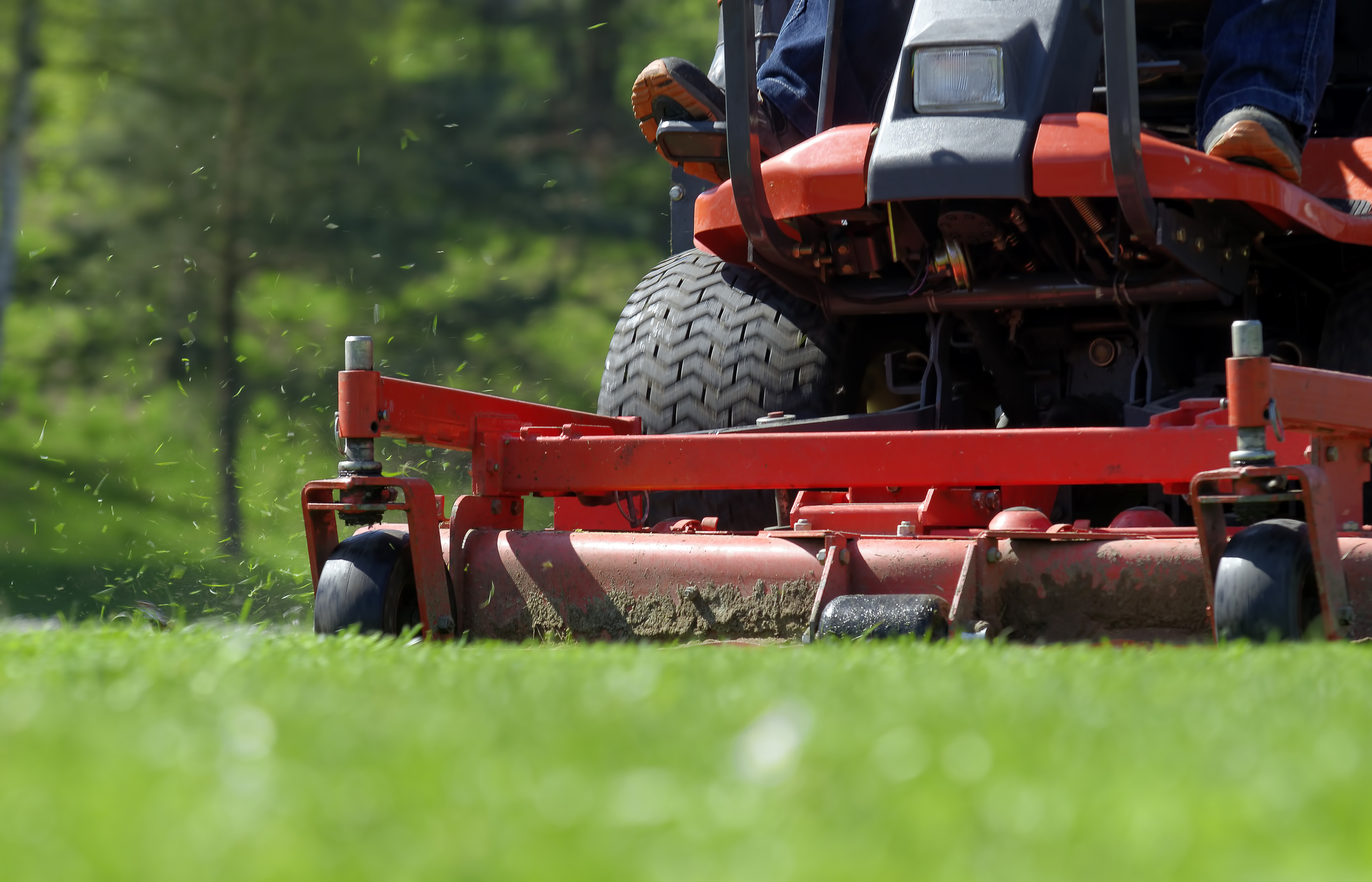 Lawn care services, Lawn mowing services Joran Minnesota