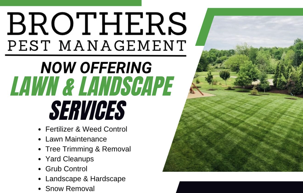 Lawn care and landscape services minnesota