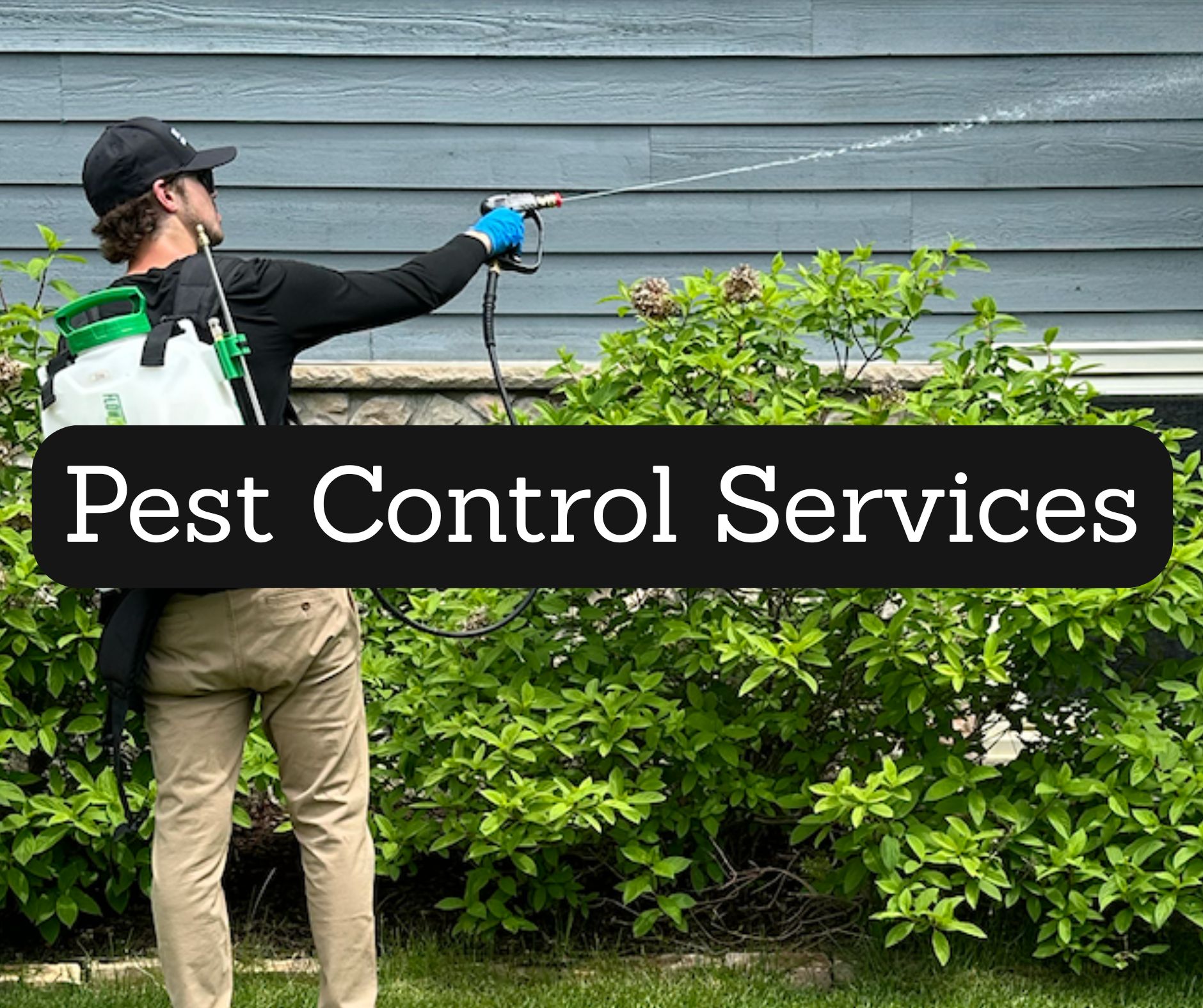 pest control Jordan MN, pest removal Jordan MN, ant control, rodent control, wasp removal, spider control, Brothers Pest Management, local exterminator Jordan MN, pest management Scott County MN, pest control near me