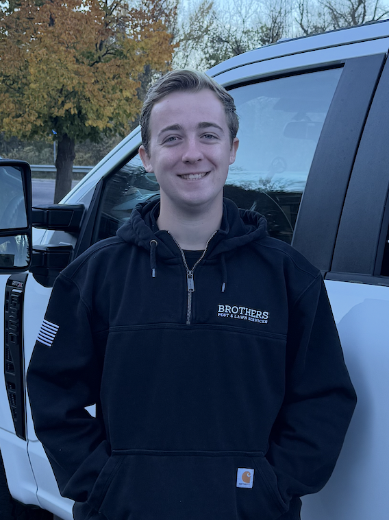 Tree removal services