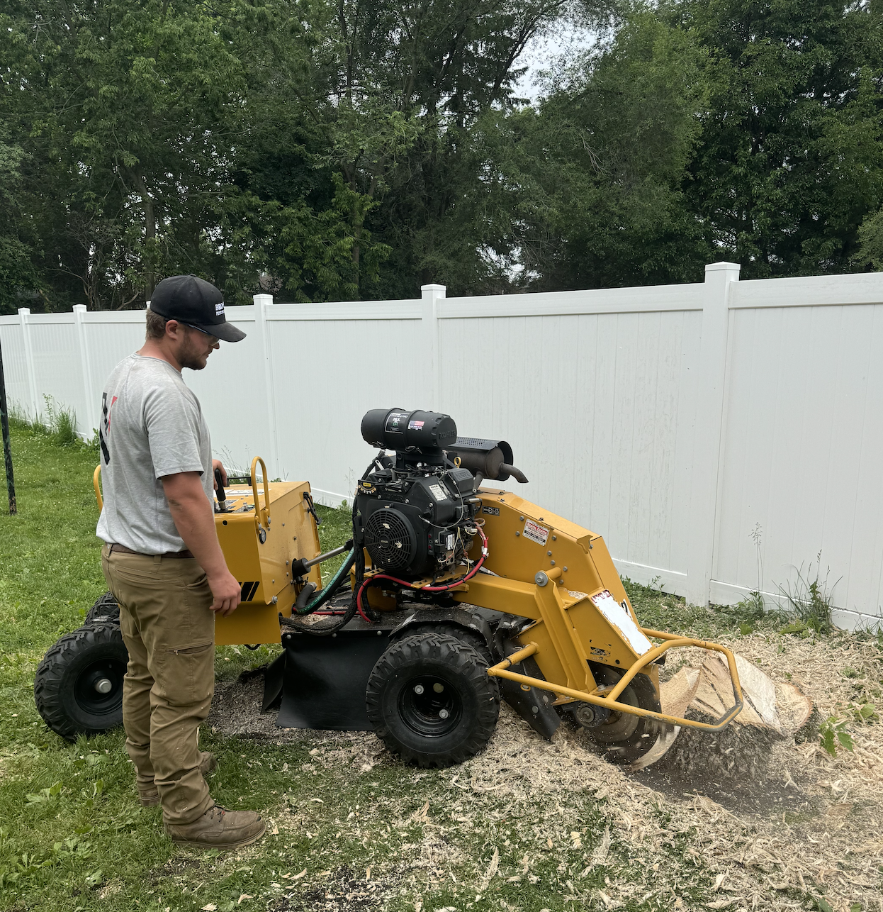 Stump Grinding MN