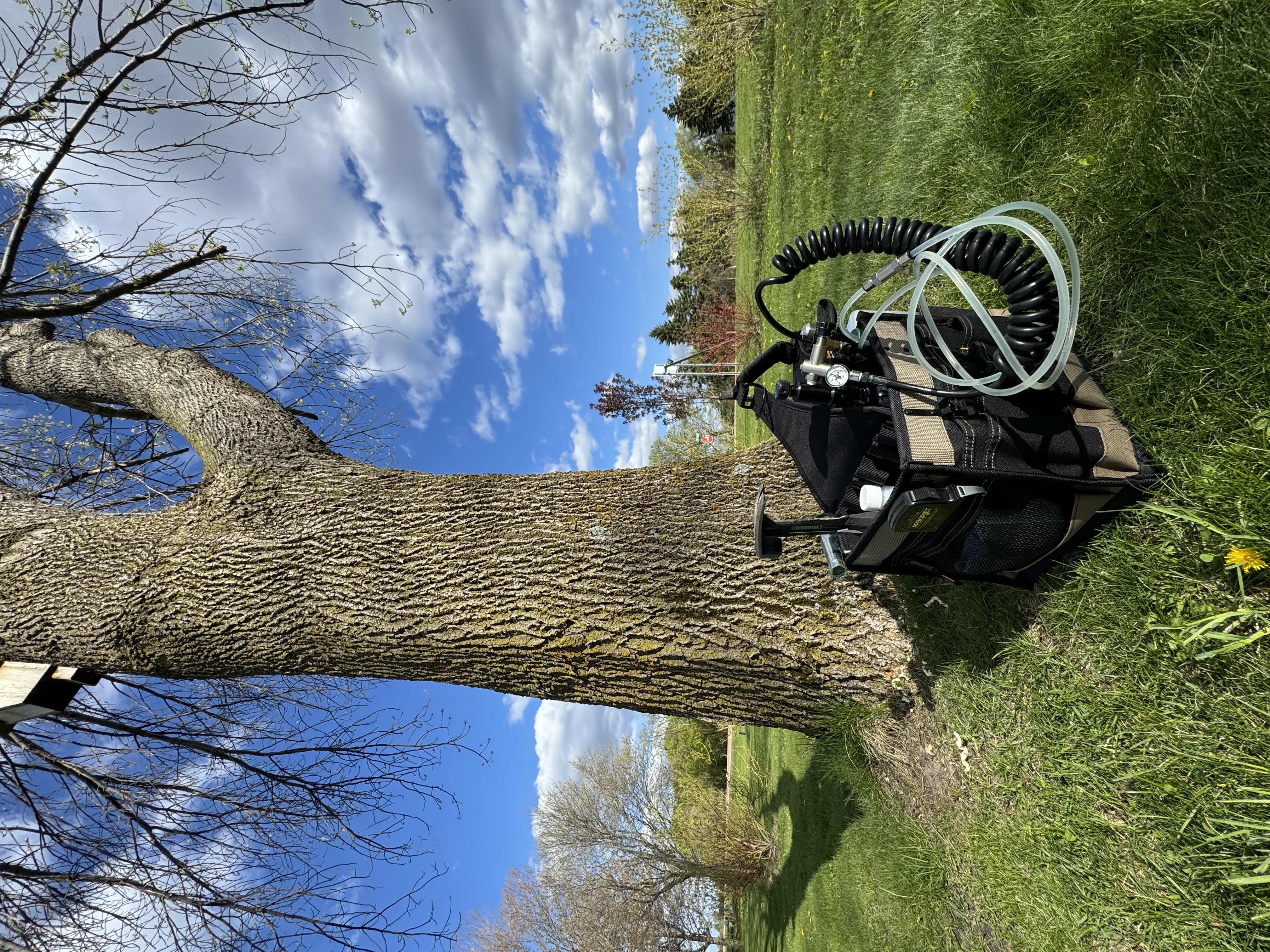 Stump Grinding MN