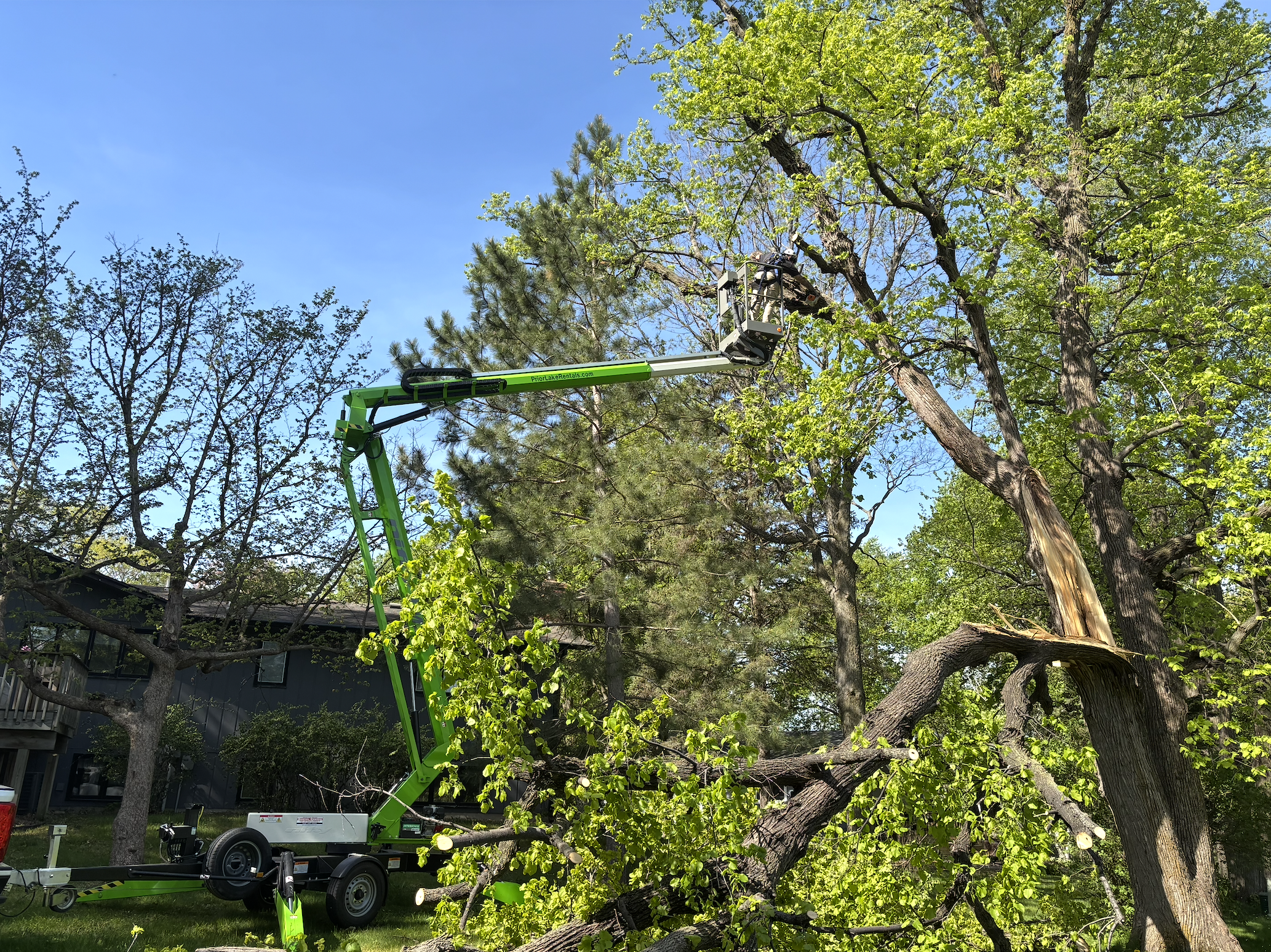Firewood Logs MN
