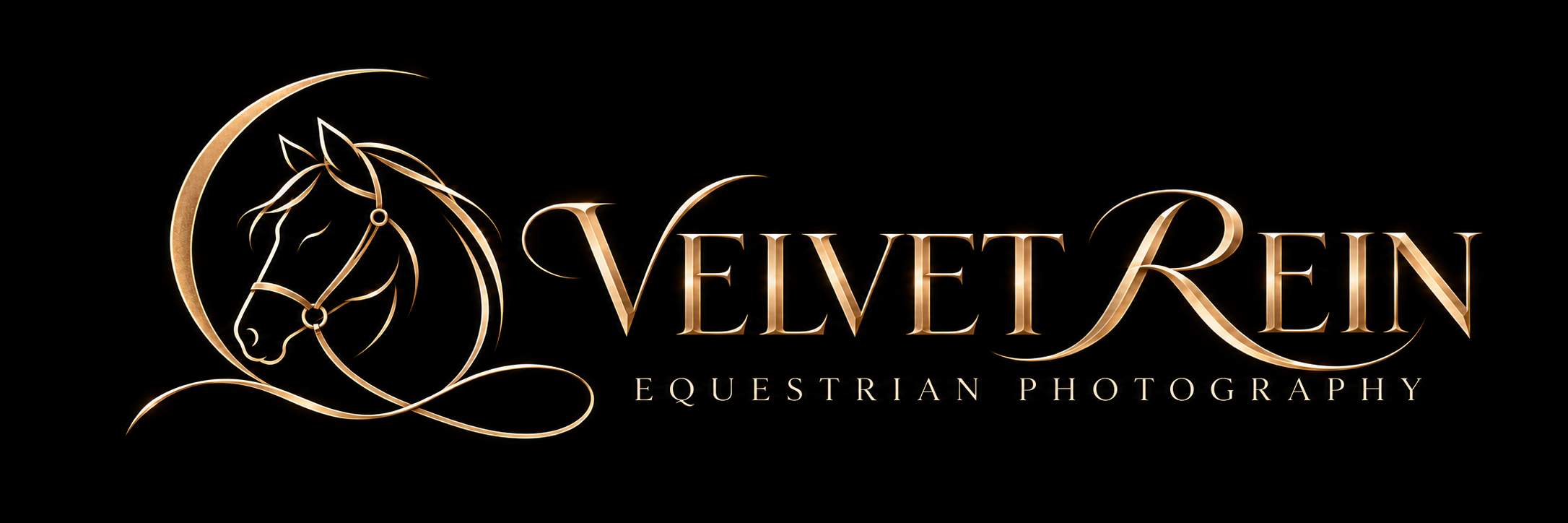Velvet REIN Fine Art Equestrian Photography