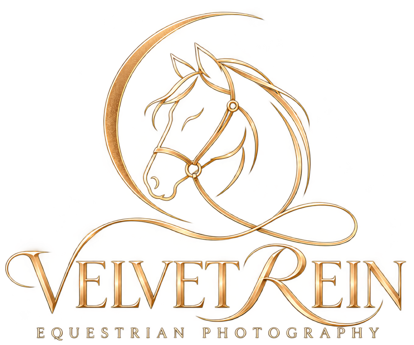 Velvet REIN Equestrian Photography