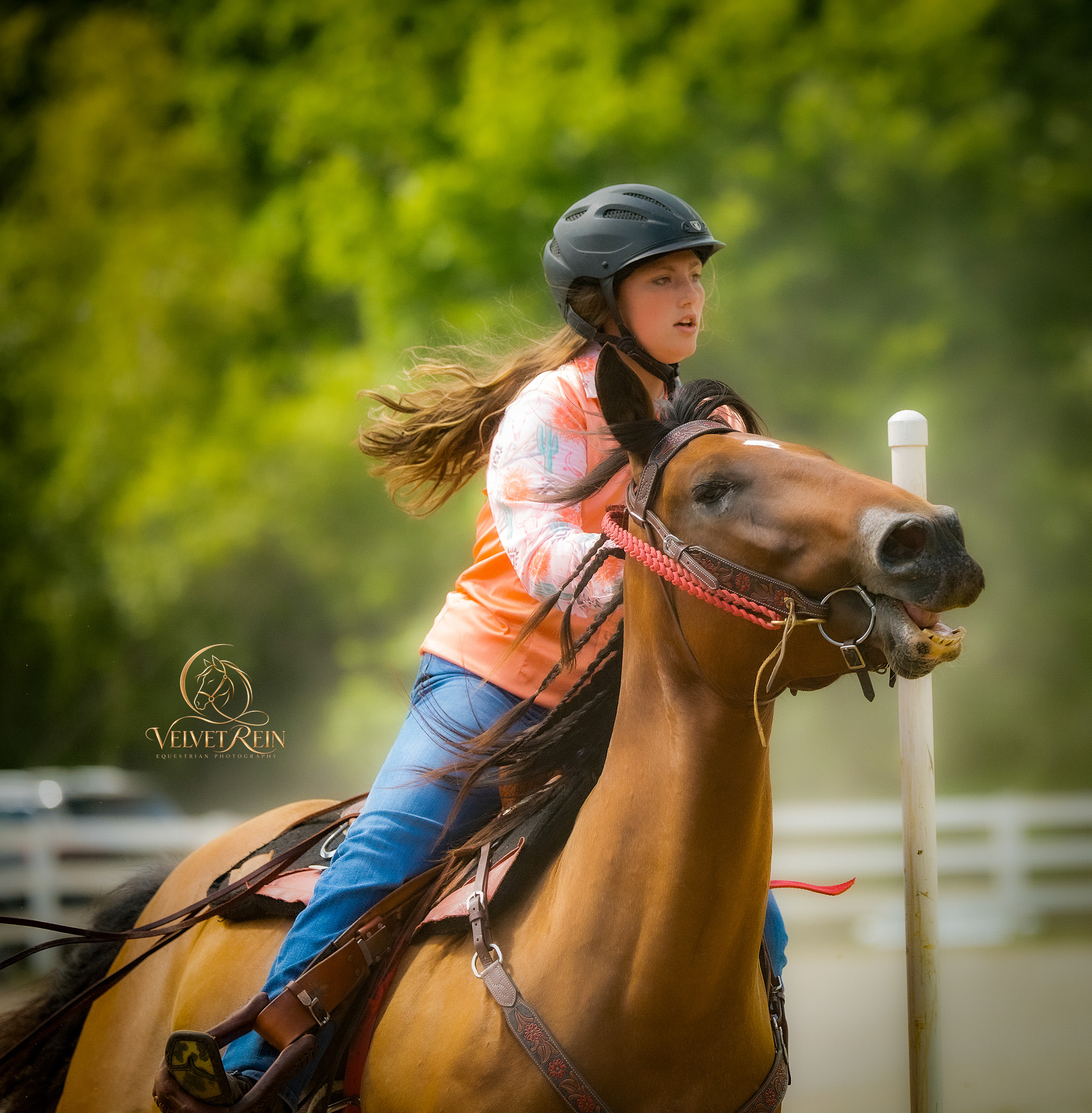 A bareback rider resting on a dark horse in a sunlit Connecticut field, a quiet relaxed moment of horse and rider connection during an on-location photography session