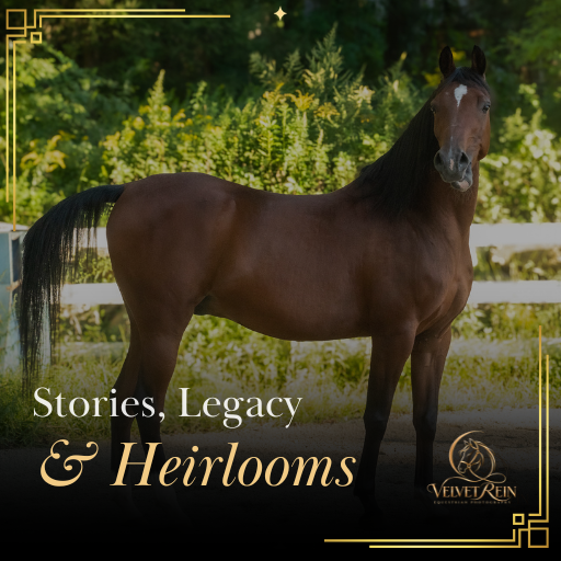 Velvet REIN Stories, Legacy and Heirlooms