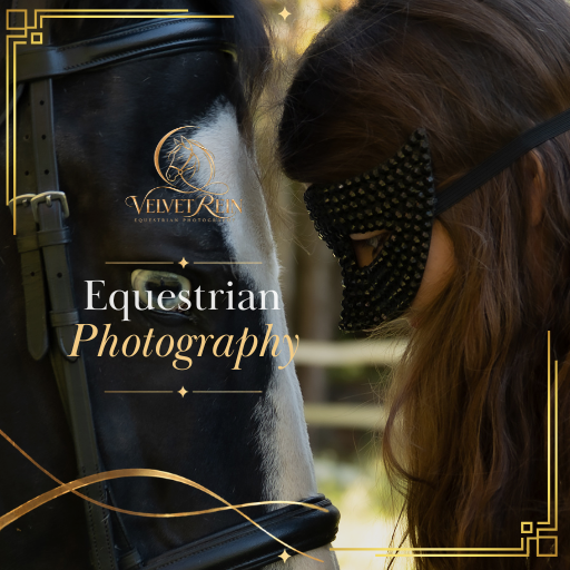 Velvet REIN Equestrian Photography