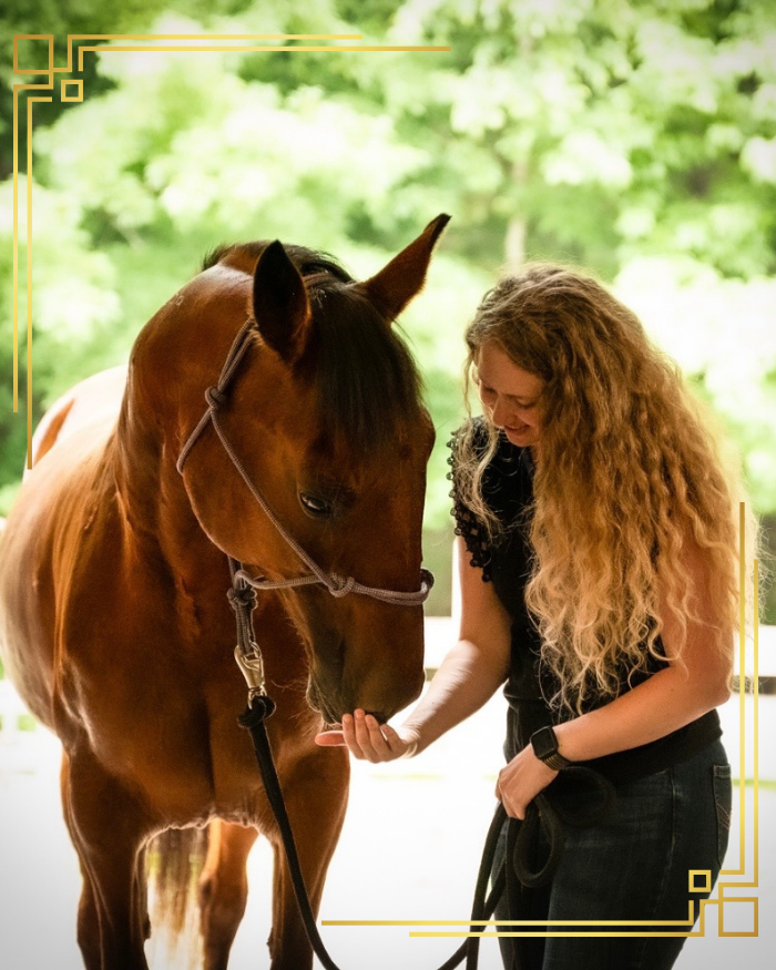 Eternal Grace Horse Photography