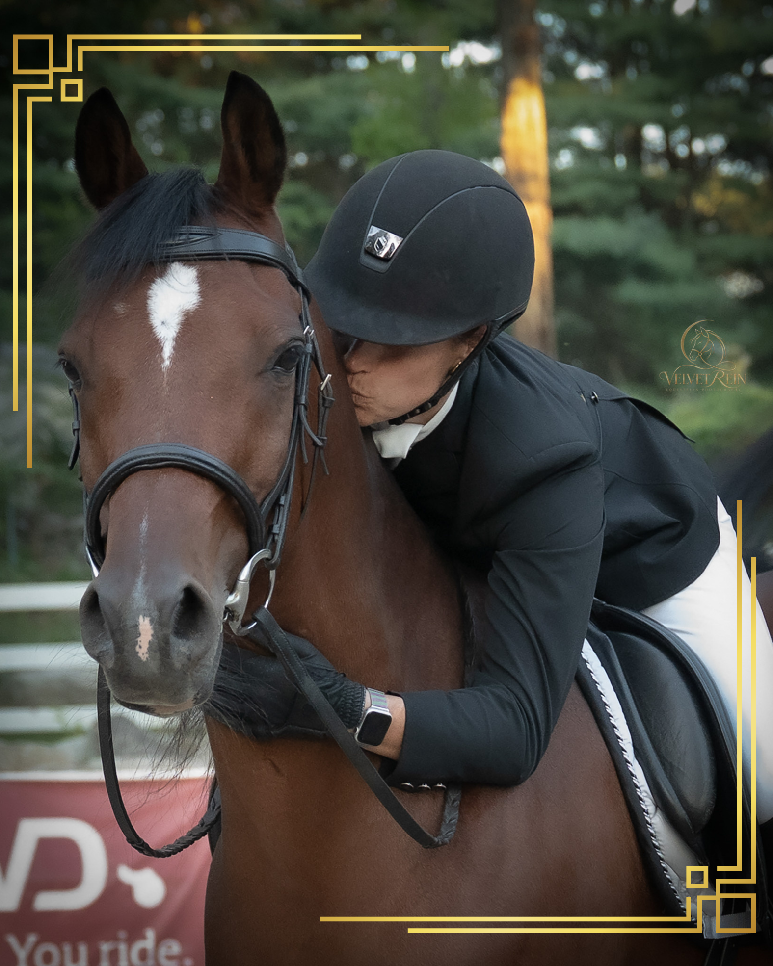 A quiet, tender portrait of a woman embracing her grey horse, foreheads nearly touching in soft warm evening light during a Connecticut horse and rider photography session