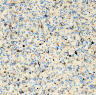 Aqua Cool Mini pebble finish sample