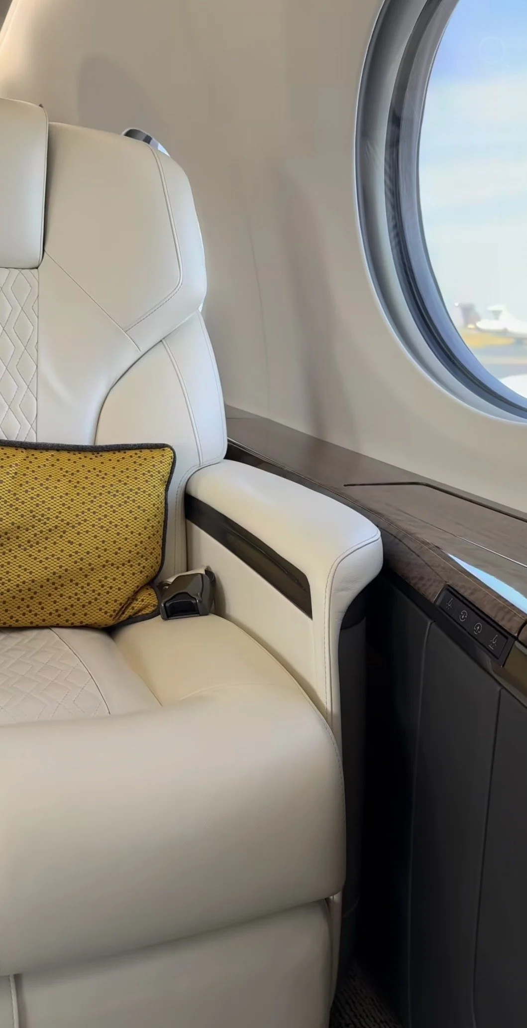 Close-up of conditioned leather aircraft seat with protective finish