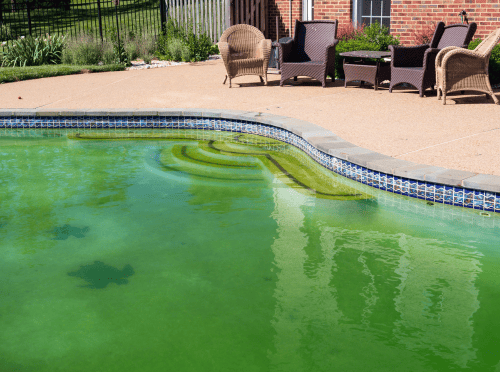 Algae Treatment & Remediation in Chagrin Falls