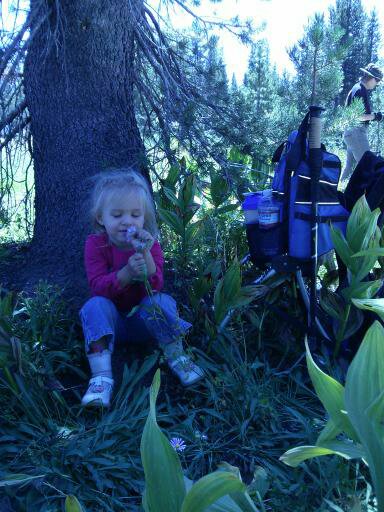 Little Taylor Rose Knowlton blowing a dandelion in a sunlit meadow — her gentle, wonder-filled spirit alive in every wish she ever made