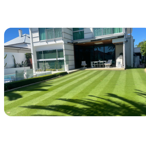 Brisbane lawn mowing services