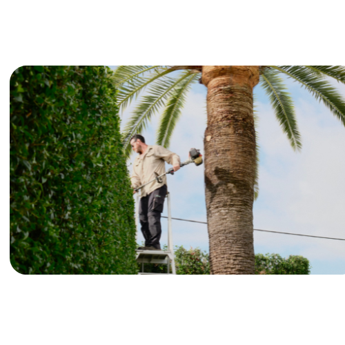 Brisbane gardening services