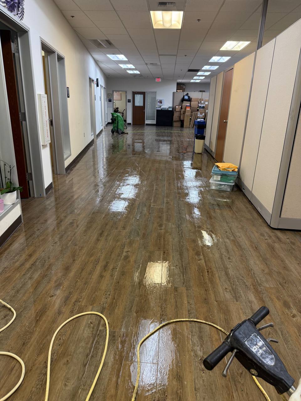 Angis crew disinfecting a commercial reception area