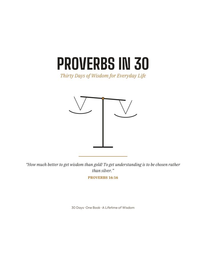 Proverbs in 30 journal cover