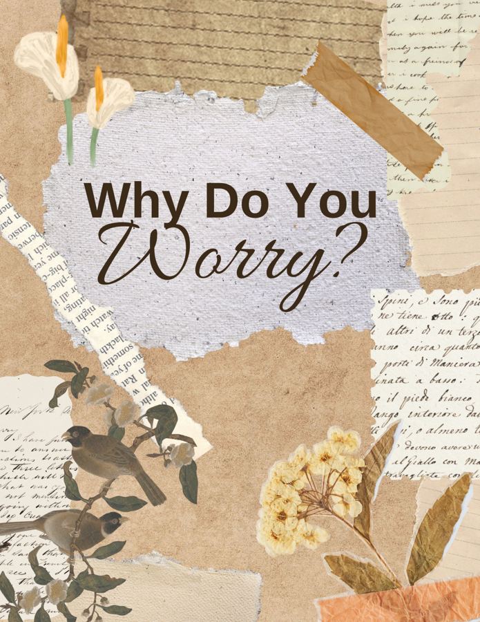 Why Do You Worry cover