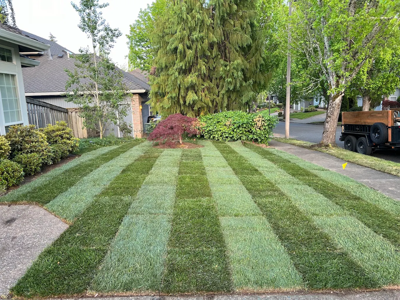 Sod installation with ground prep for a new lawn