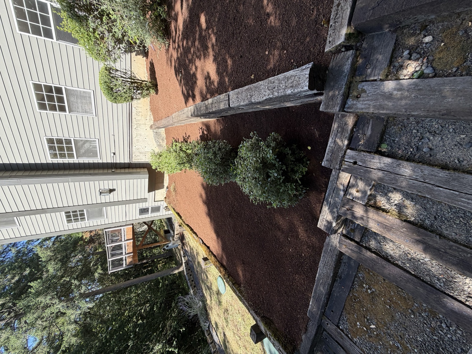 Fresh mulch spread in garden beds for weed control