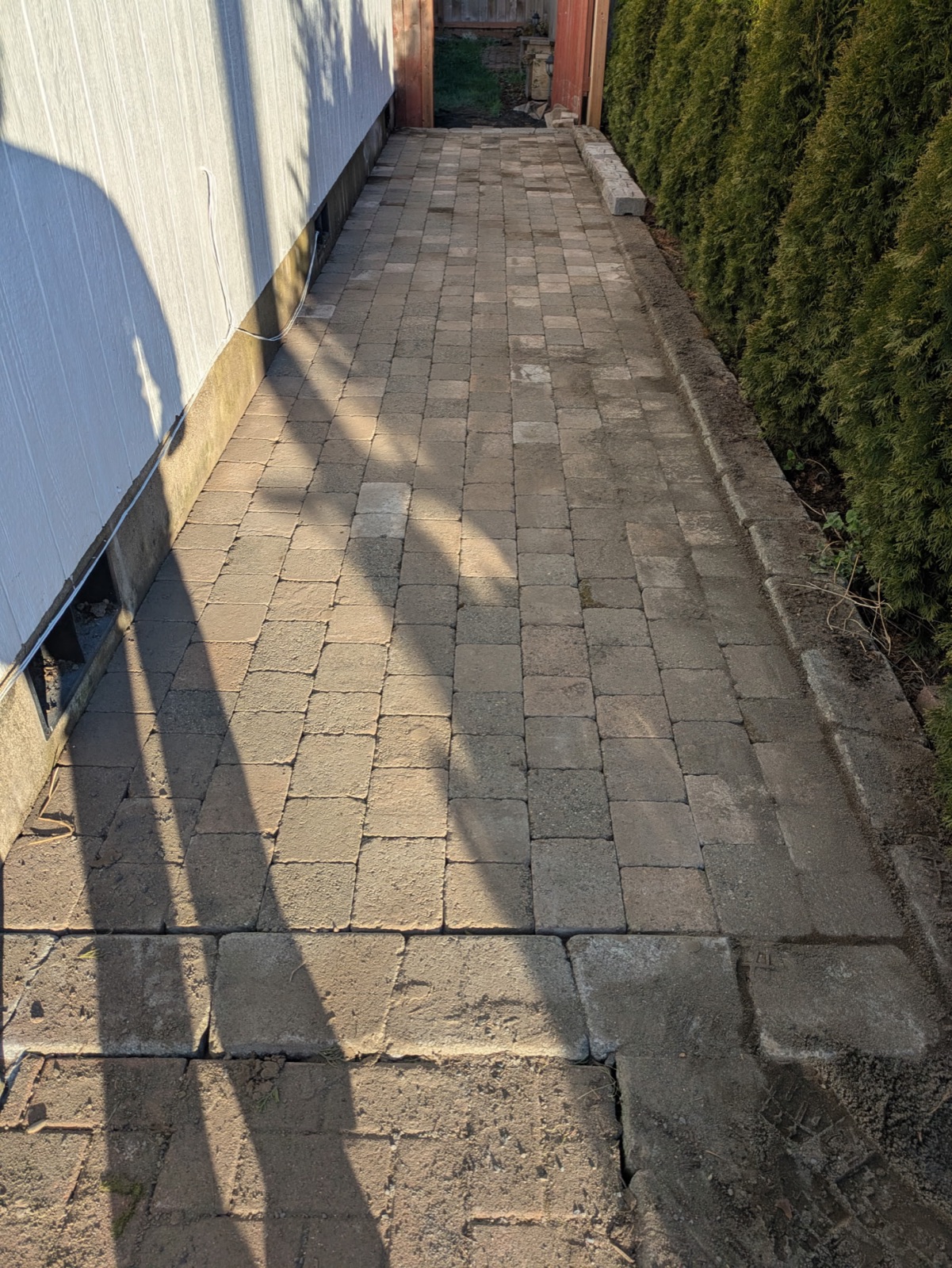 Hardscape paver patio and walkway build