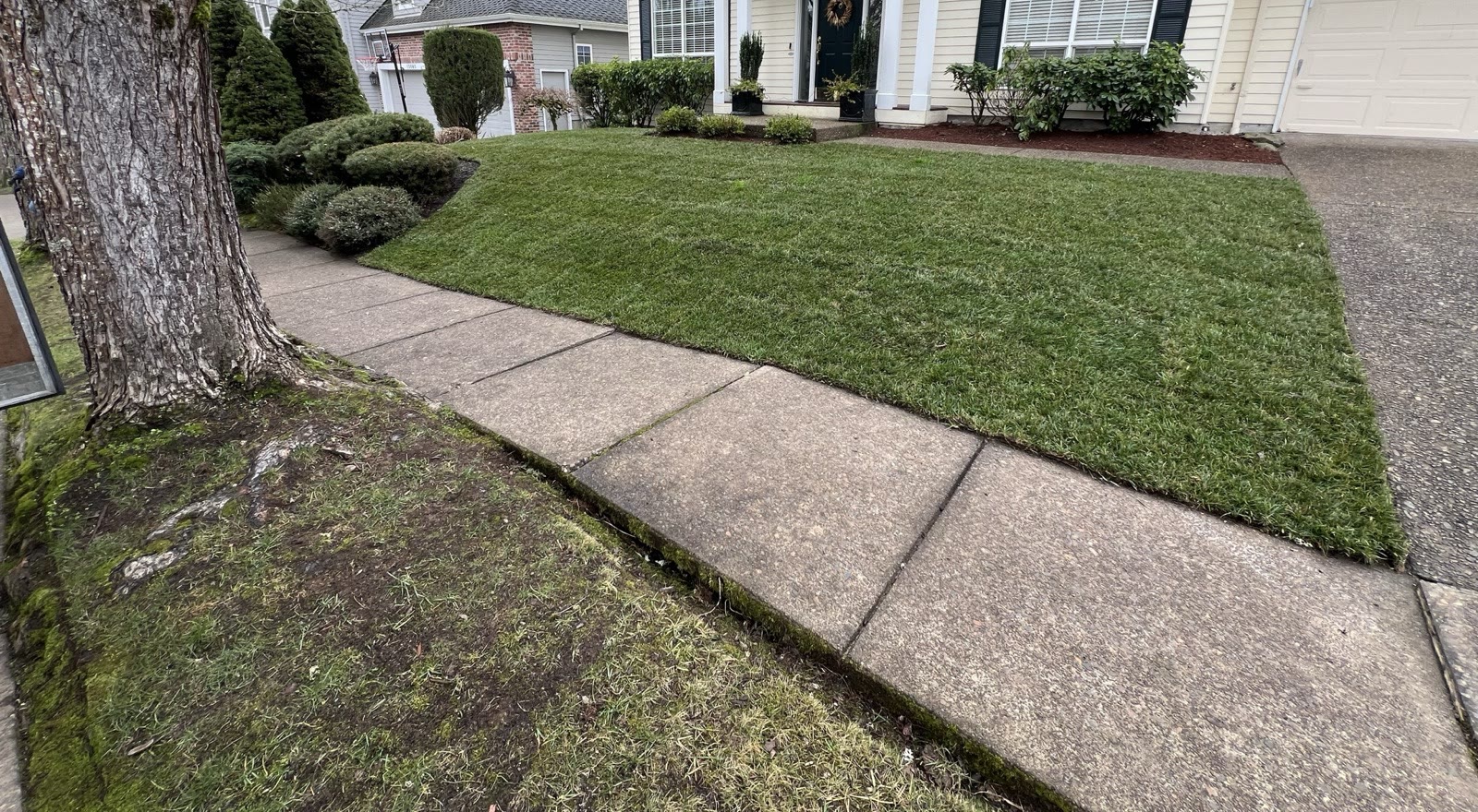 Fresh sod laid for a new lawn