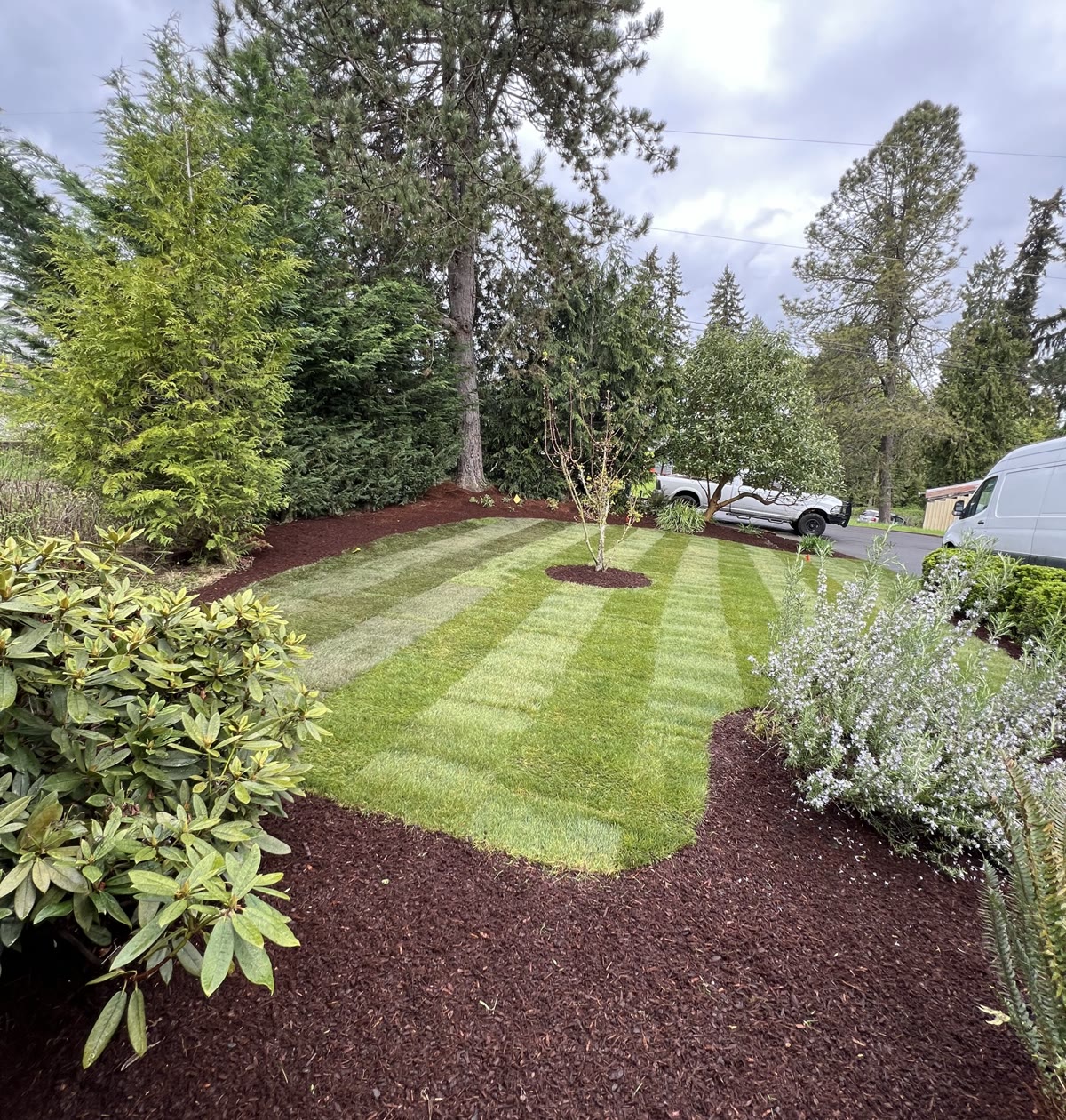 Sod installation with ground prep for a new lawn
