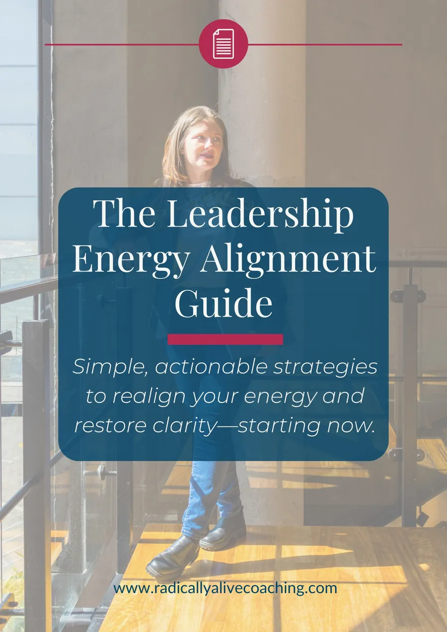 Cover of The Leadership Energy Alignment Guide